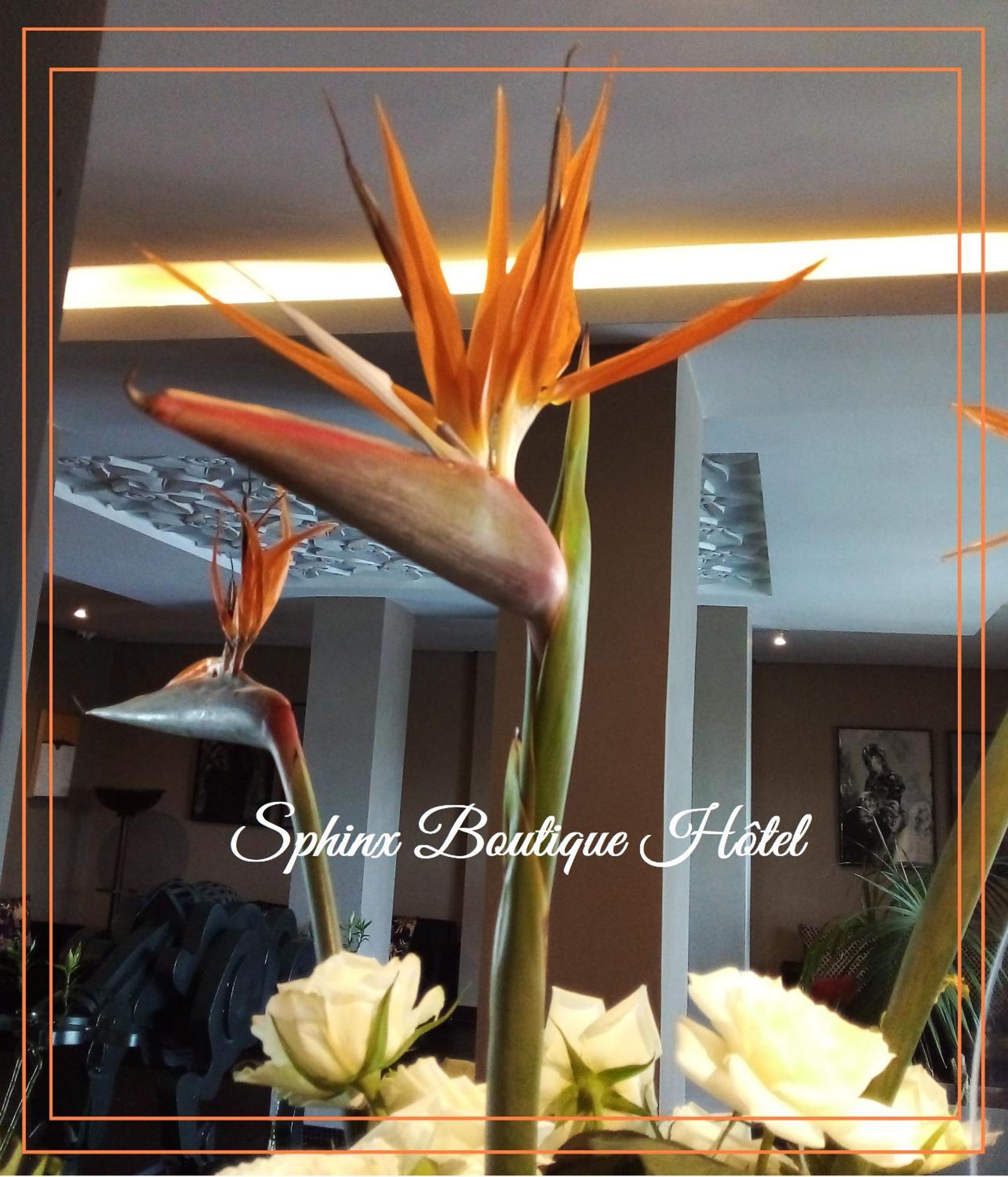 Le Sphinx Boutique Hotel Mohammedia Exterior photo